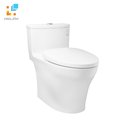 Bồn cầu 1 khối TOTO MS885DT3